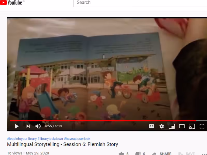 Multilingual Flemish