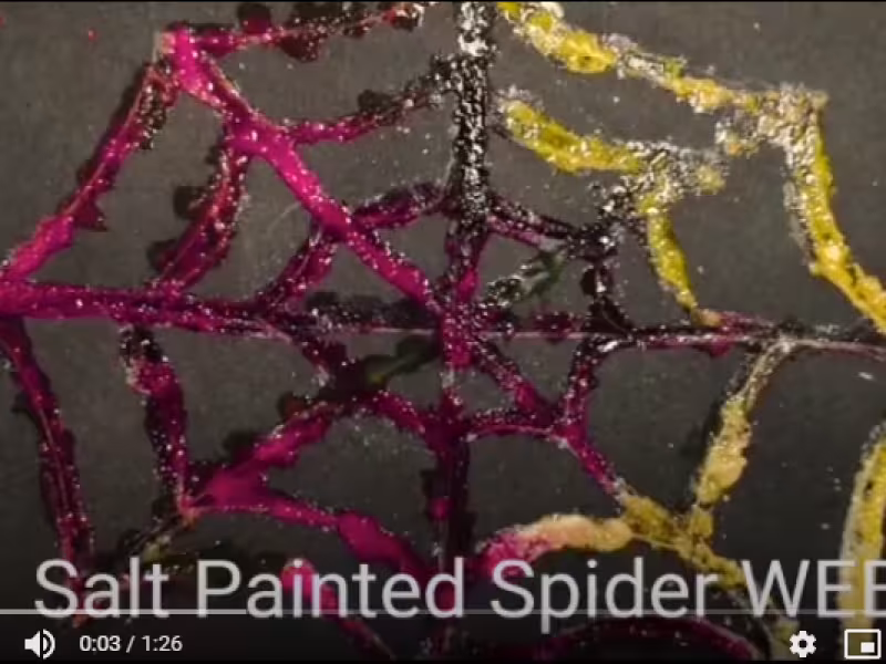 Salt painted spiderweb