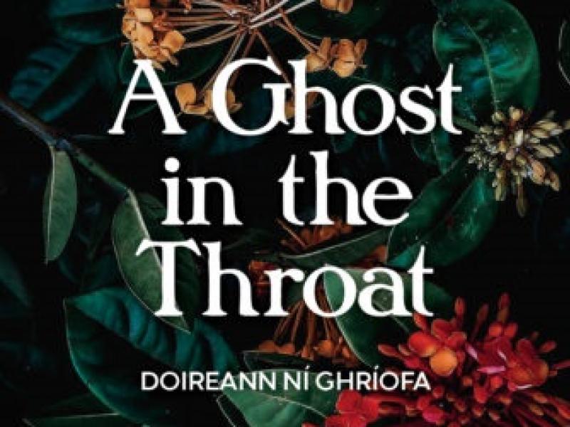 image of Ghost in the Throat novel