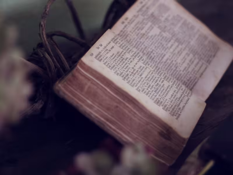 image of an old dictionary