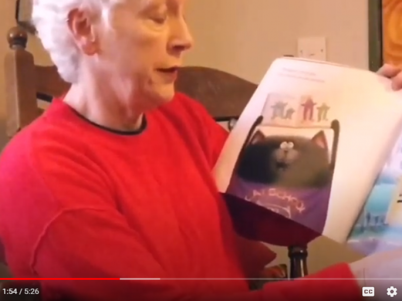 Eadaoin reads Splat the cat