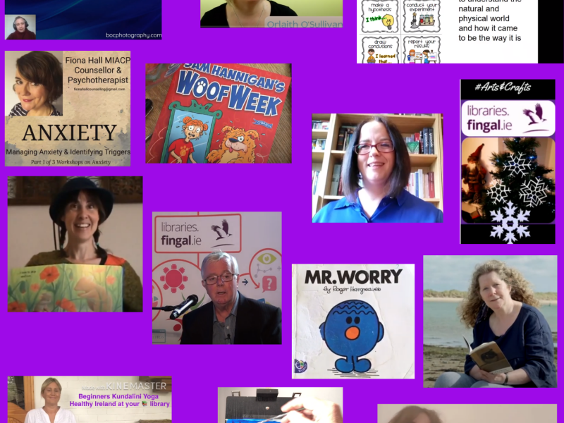 Fingal Library Events Highlights
