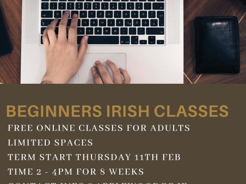 Beginner irish classes