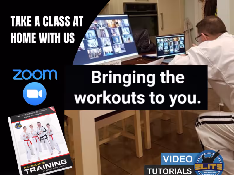 Online Taekwon-Do Classes
