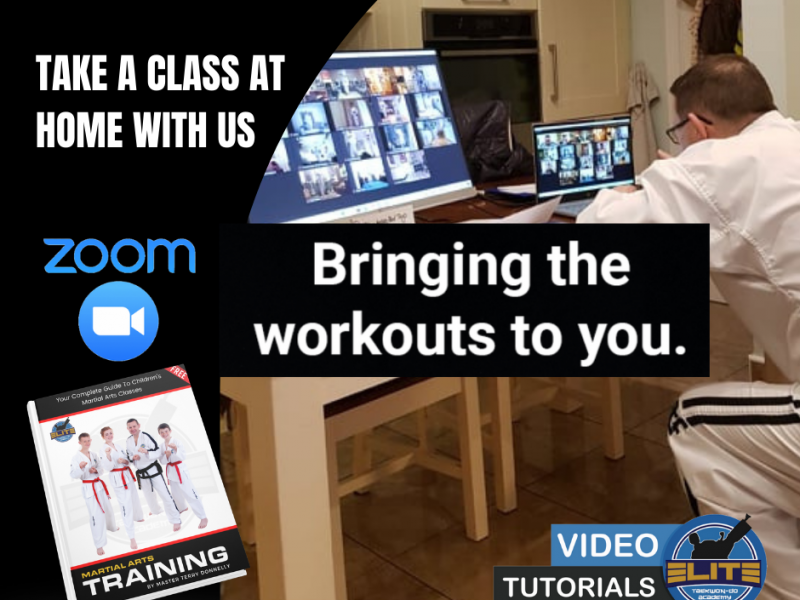 Online Taekwon-Do Classes