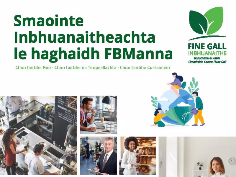 Gaeilge - Sustainable Fingal - Ideas For SMEs