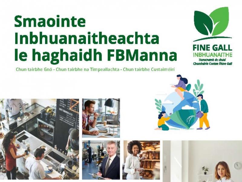 Gaeilge - Sustainable Fingal - Ideas For SMEs