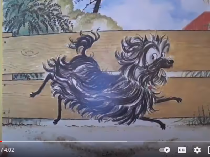 Hairy Maclary 