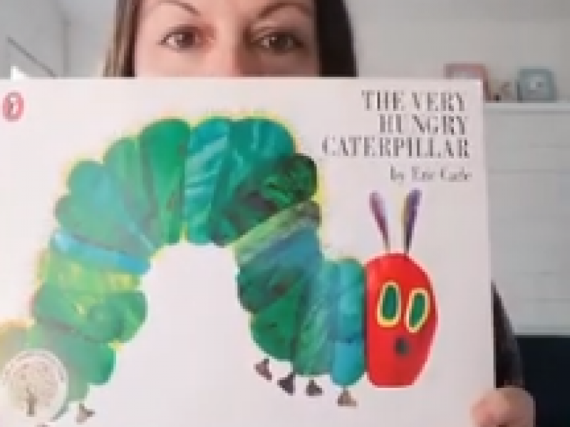 Hungry caterpillar