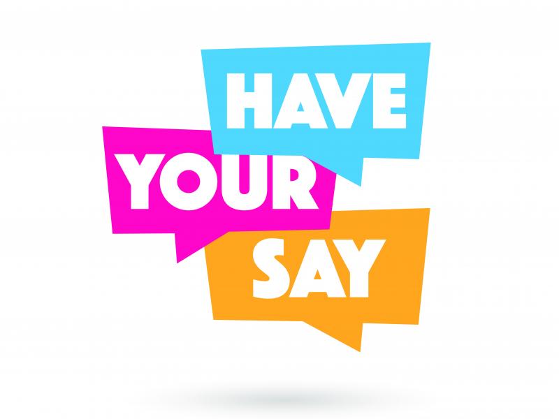 Have your Say graphic
