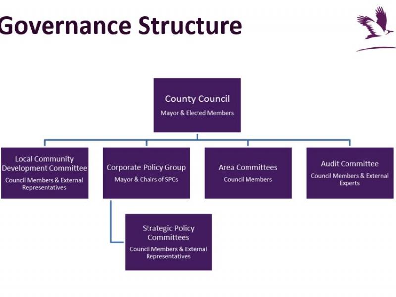 Council Governance Structure