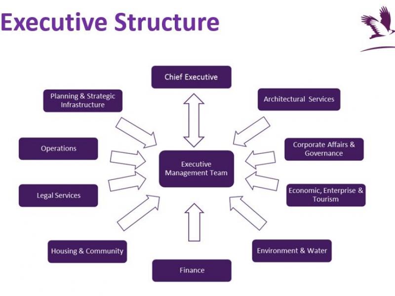 Executive Structure