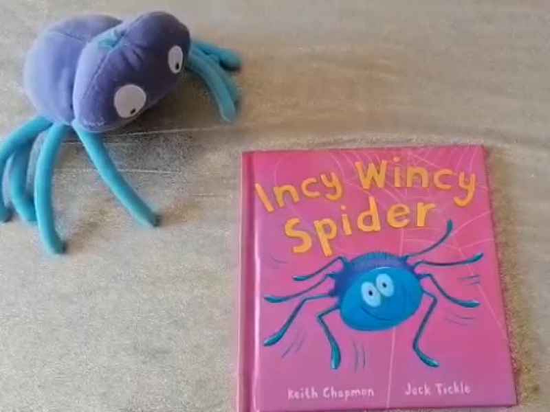 Incy Wincy Spider