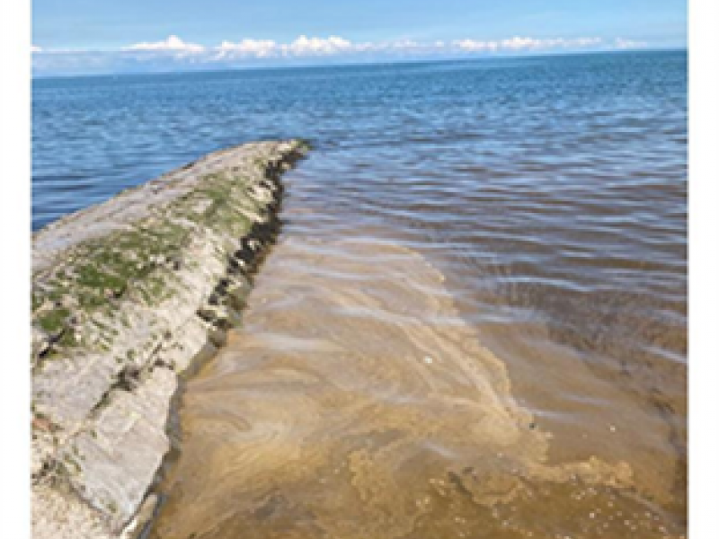 Brown Foam Beach