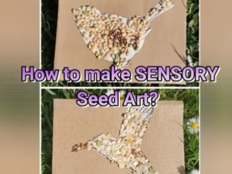 Sensory Seeed Art