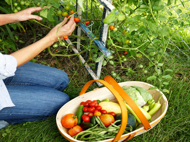 Gardening