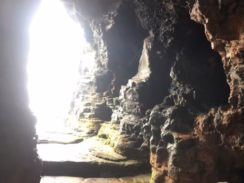 Image 1: South Cave Loughshinny