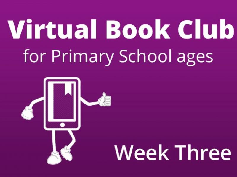 Virtual Book Club Week 3