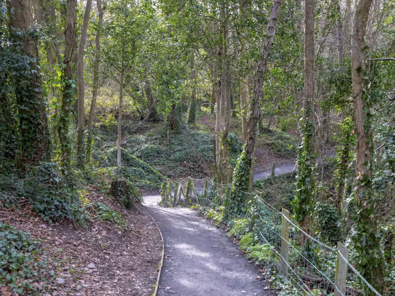 St Catherines Park