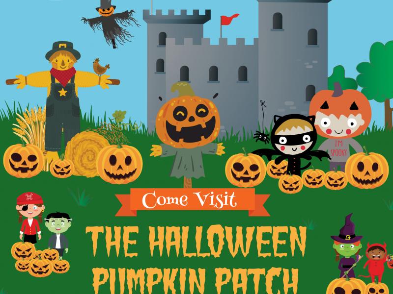 Pumpkin Patch at Swords Castle | Fingal County Council Pumpkin Patch at Swords Castle | Fingal County Council