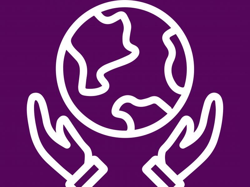 Environment Icon