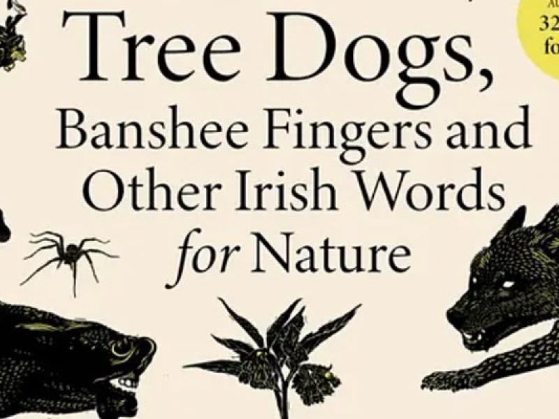 Manchan Magan Tree Dogs SNAG