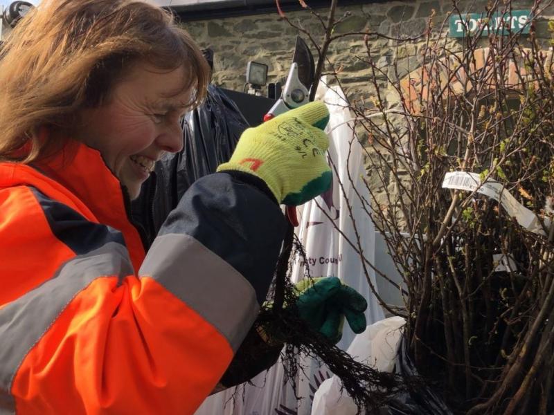 Dominica McKevitt, Head Gardener Ardgillan Demesne distributing trees in 2019