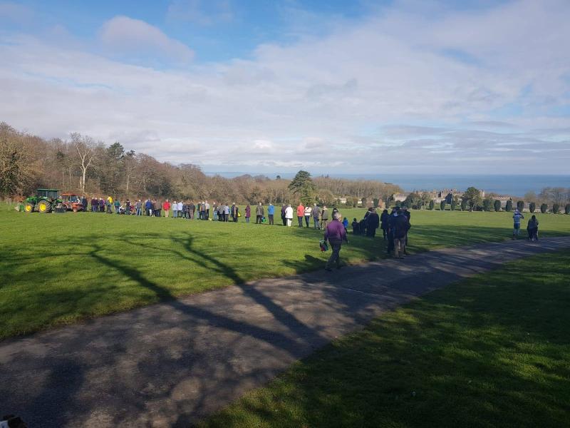 Members of the public queuing for free trees in Ardgillan Demesne in 2019 