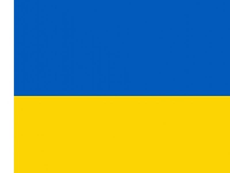 Ukraine Flag Libraries