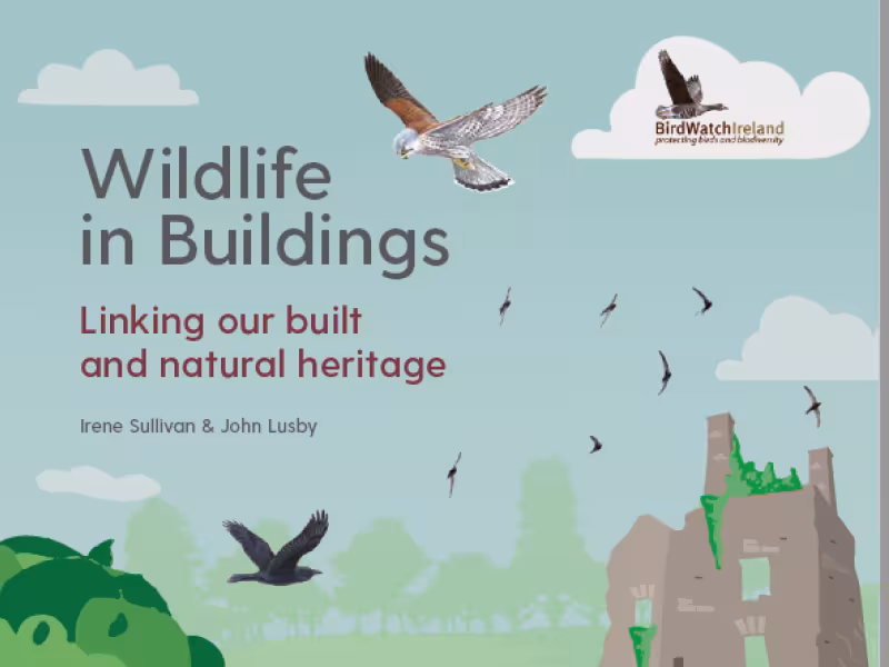 Wildlife in buildings