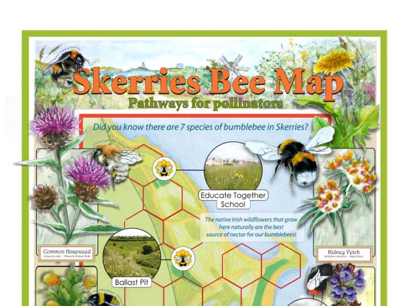 PollinatorMap