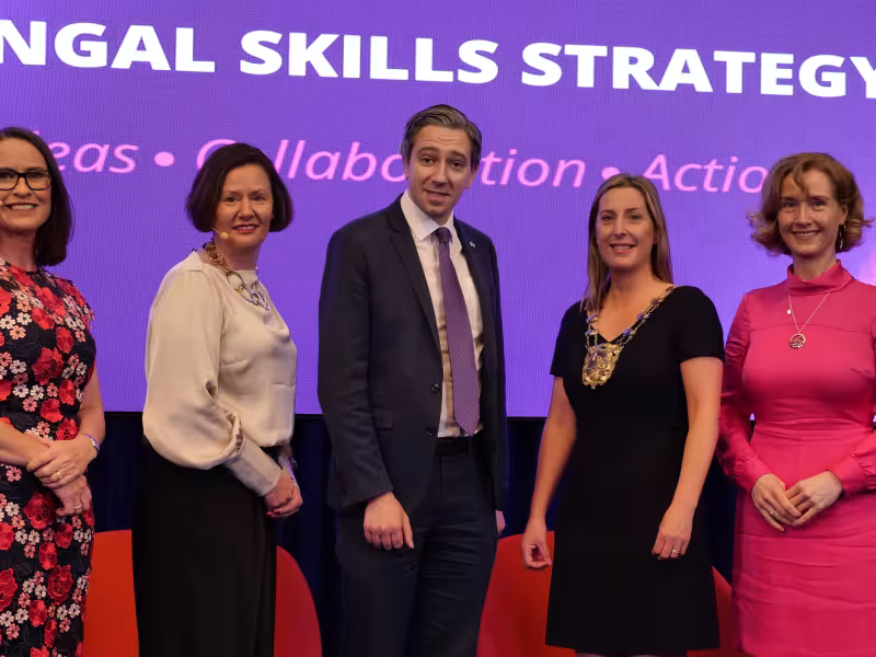 Fingal Skills Strategy