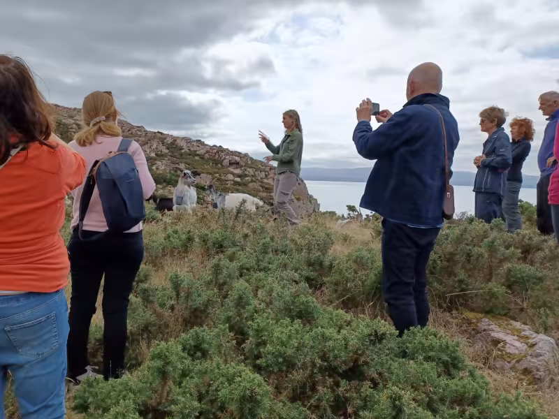 Mini Climate Festival