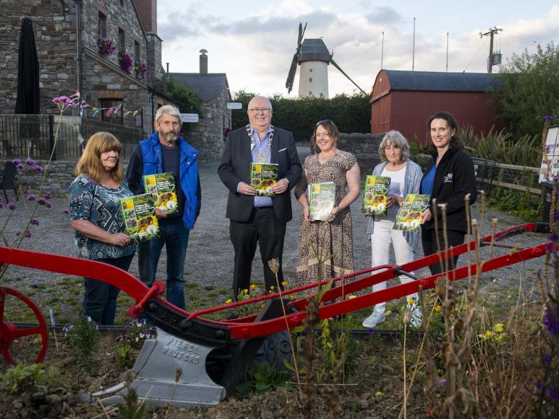 Wild Bee Skerries Mayor