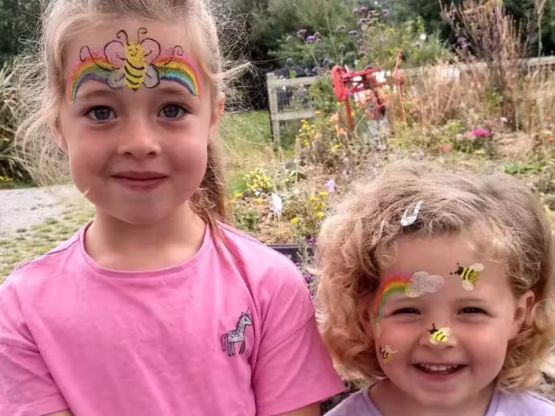 Wild Bee Skerries Face Painting