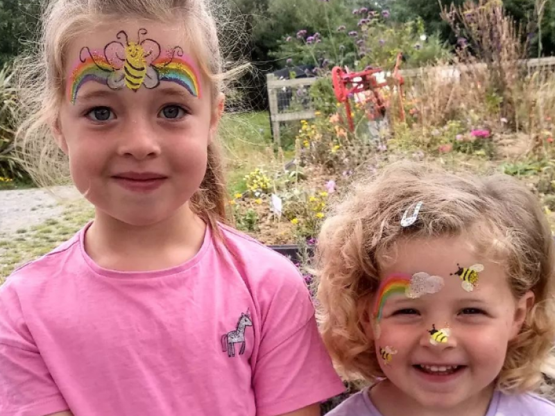 Wild Bee Skerries Face Painting