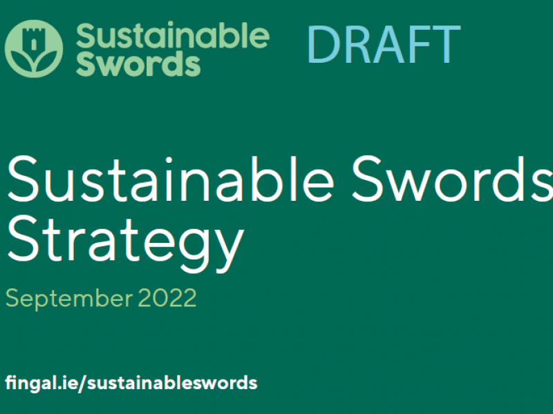 sustainable swords strategy image