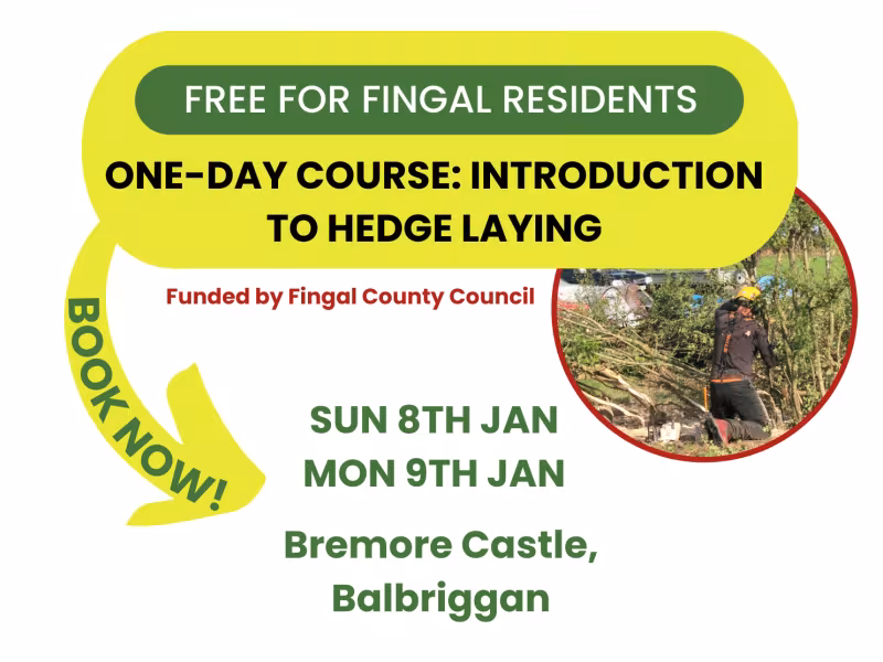 Poster for hedge laying event