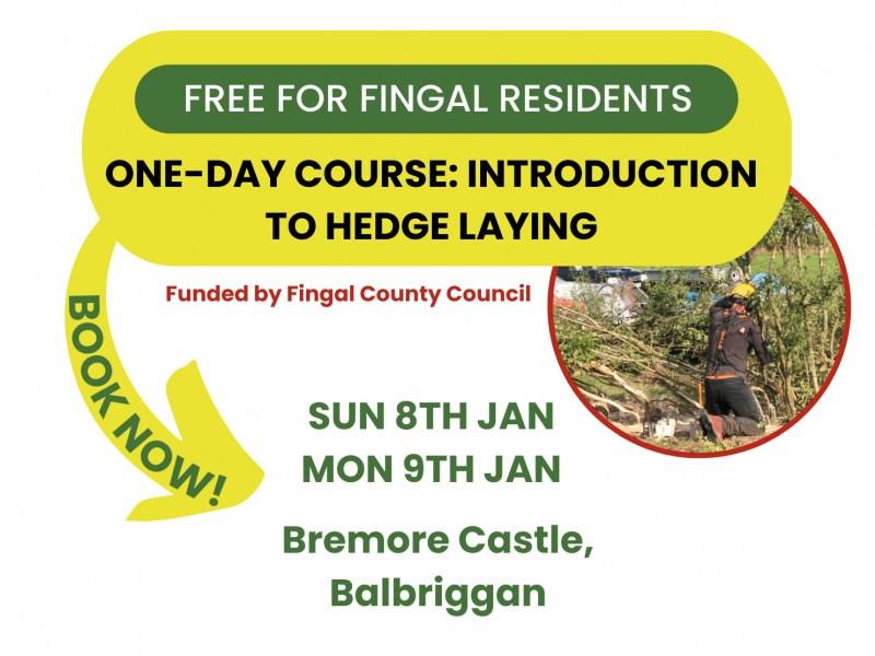 Poster for hedge laying event