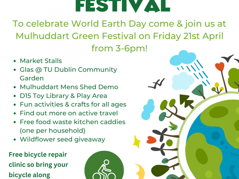 Mulhuddart Green Festival Final