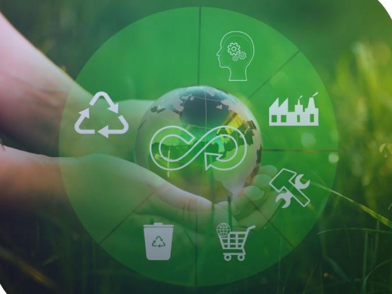 circular economy