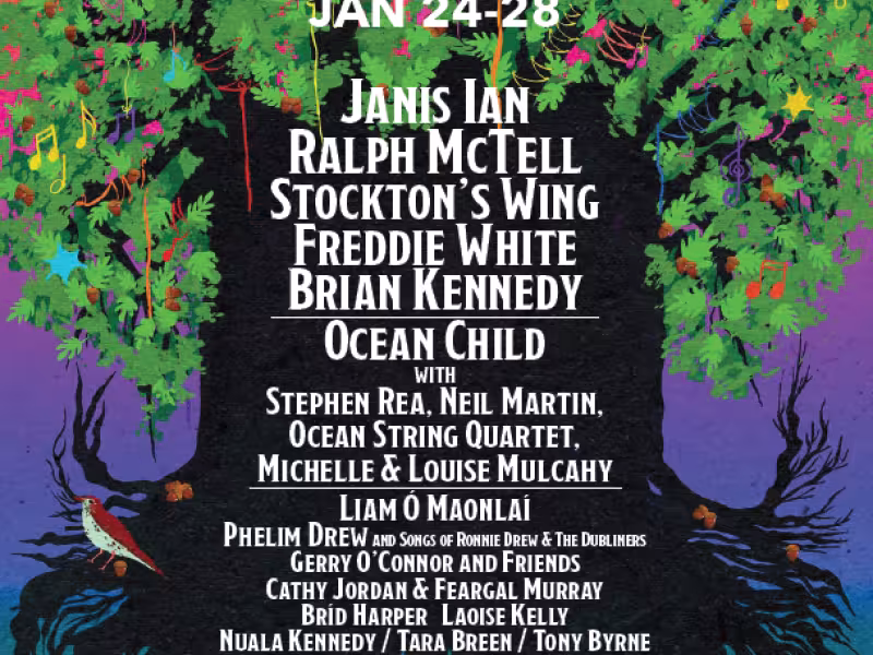 tradfest fingal 2024.PNG