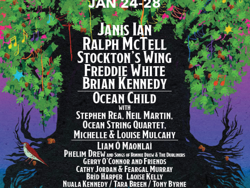 tradfest fingal 2024.PNG