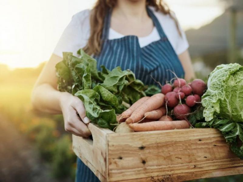 A Climate Friendly Kitchen with the Sustainable Life School
