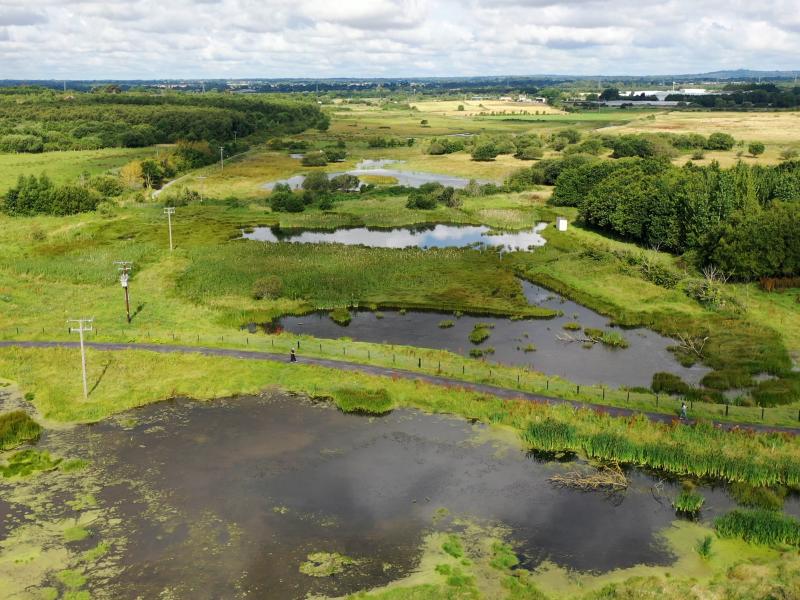 Guided Walk of Turvey Nature Reserve with Birdwatch Fingal