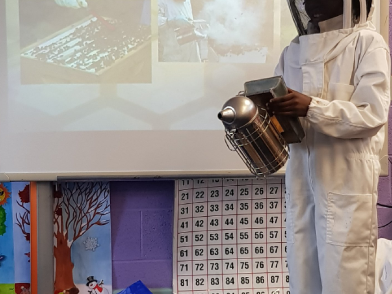 Pollinator workshop with Edel Heeran