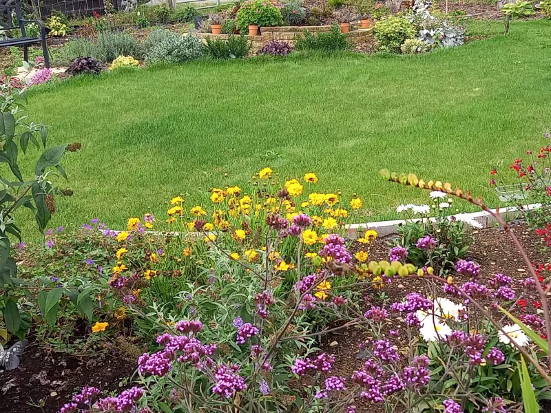 Summer Plant Care Workshop with Marie Hirst