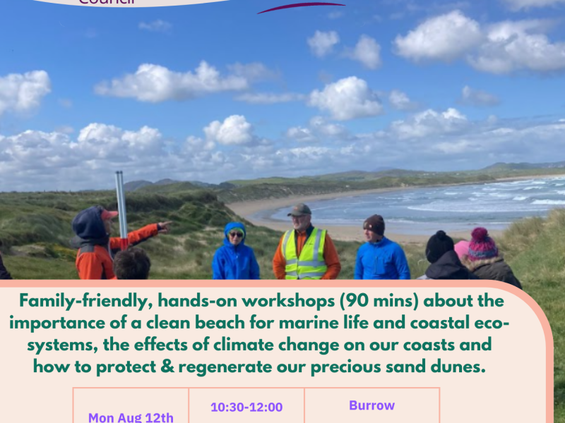 New Beach Workshops Notice