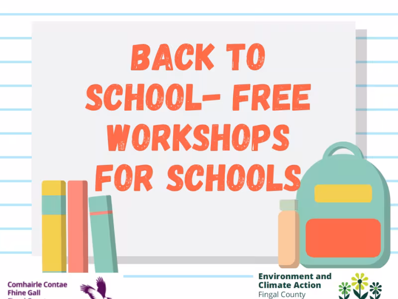 Orange Back To School