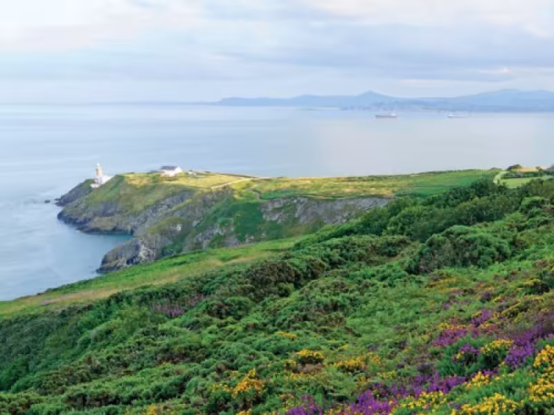 Howth is designated as a Special Amenity  Area Order (SAAO) because of its outstanding beauty,  special recreational value and nature conservation interests.